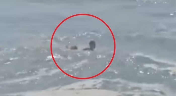 6살 아이 거센 파도에 휨쓸려 가자... ‘인간 사슬’ 만든 어른들 (영상)