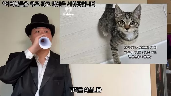 인사이트