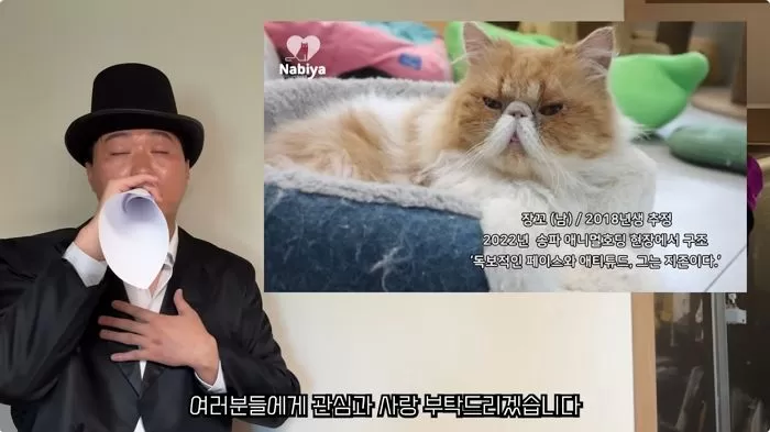 인사이트
