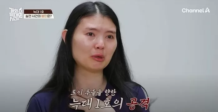 ‘개늑시’ 강형욱도 충격받은 반려견 6마리 키우던 가정에서 벌어진 충격적 사건