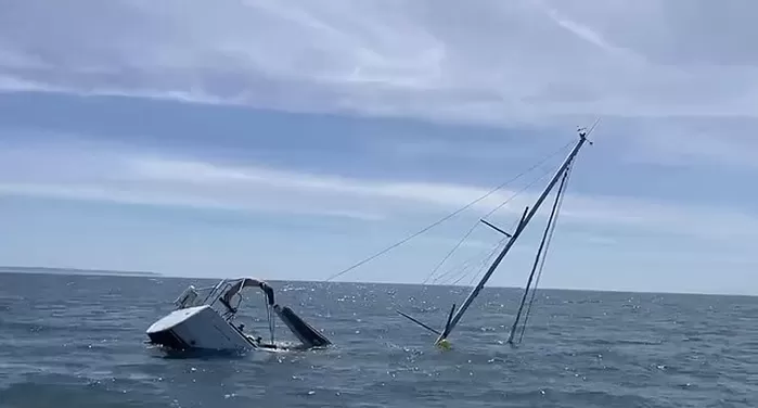 범고래 떼의 갑작스런 공격으로 ‘관광 보트’ 침몰... 왜 이러나 분석해보니