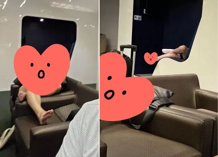 인사이트