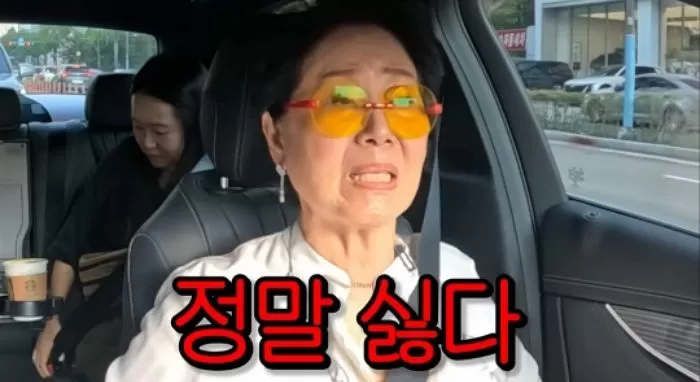 인사이트