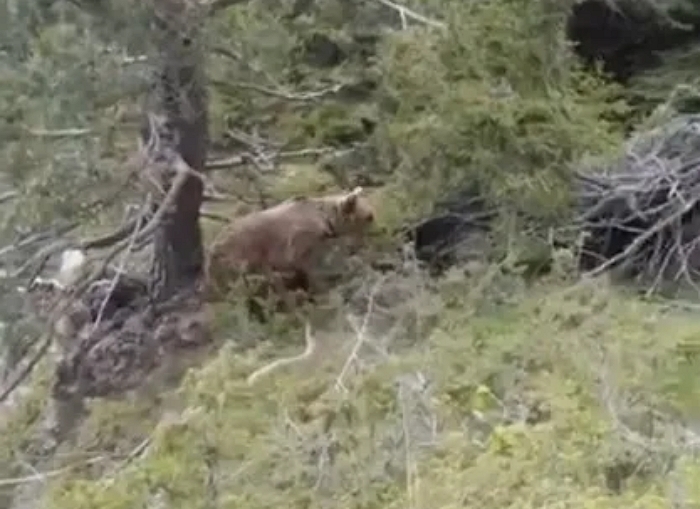 2025-09-18 15 40 40.jpg