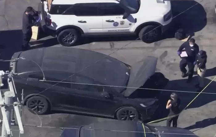 ‘D4vd 테슬라 시신 사건’ 피해자, 1년 전 실종 소녀... MV·타투 소름돋는 ‘연결고리’