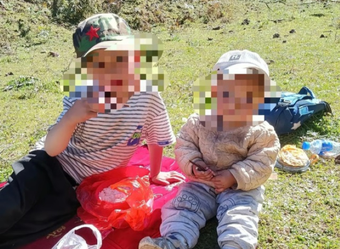 할머니 밭일 따라갔다가... 말벌 떼에 쏘여 사망한 7세·5세 남매