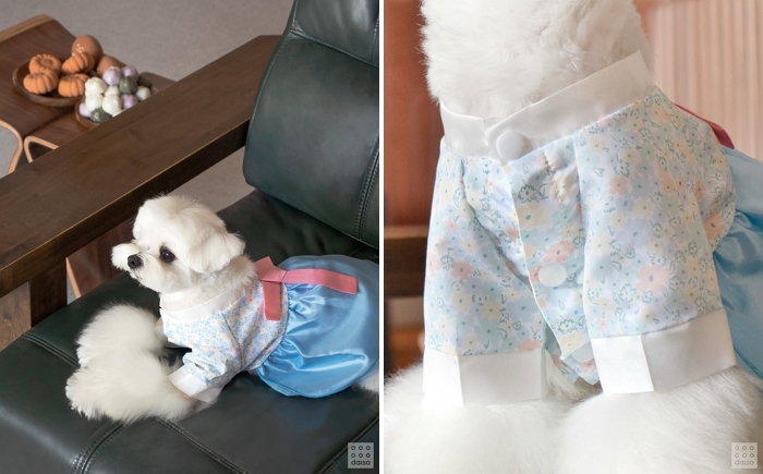 “우리집 댕댕이 뽀삐도 한복 입고 송편 먹어요”... 추석 앞두고 품절대란 일어난 제품들