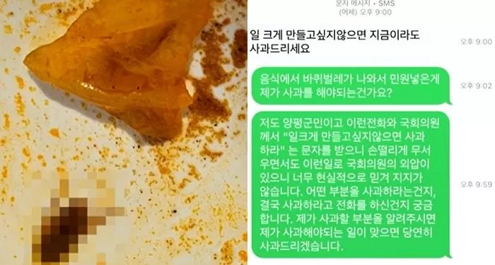인사이트