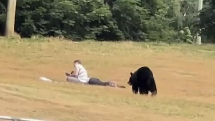 공원서 피크닉 즐기는 커플 뒤로 다가온 그림자... 아찔한 순간 포착