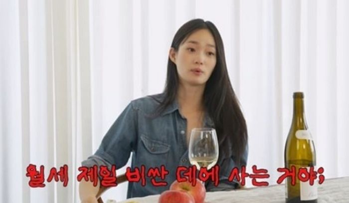 ‘톱모델’ 최소라, 전성기 시절 뉴욕 ‘맨하튼 뷰’ 보이는 초고가 월세집에서 살았던 이유