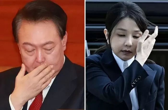 인사이트
