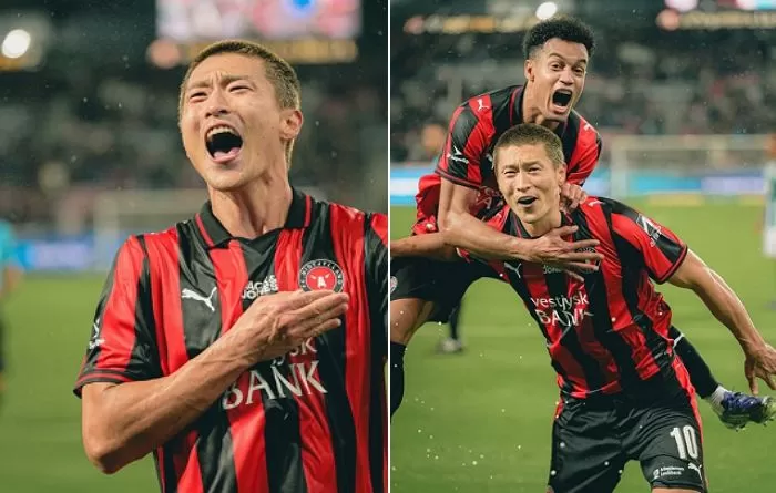 인사이트