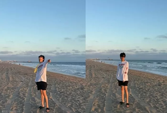 인사이트