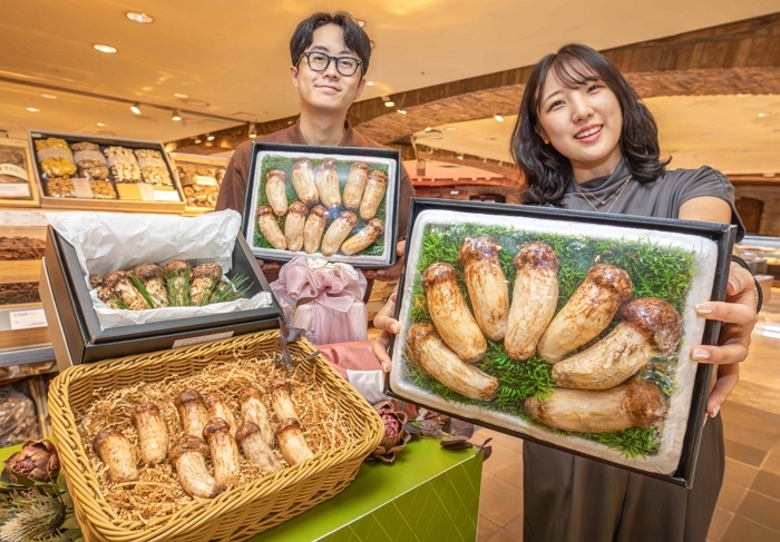 “1kg에 130만원”... 현대百, 추석 프리미엄 자연송이 세트 선보여