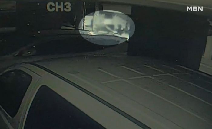음주운전 걸리자 차 버리고 달아난 ‘165만 유튜버’... 현장 CCTV 영상 봤더니