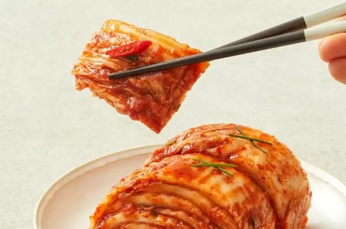 폭염에 김치 못 먹을 뻔했는데... ‘해결사’ CJ제일제당이 7년 개발한 신품종 배추 정체