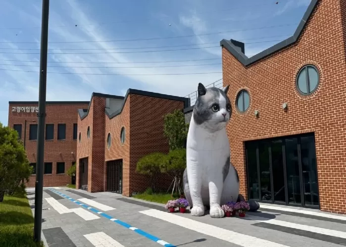 반려마루 화성 내 고양이 입양센터 / 경기도