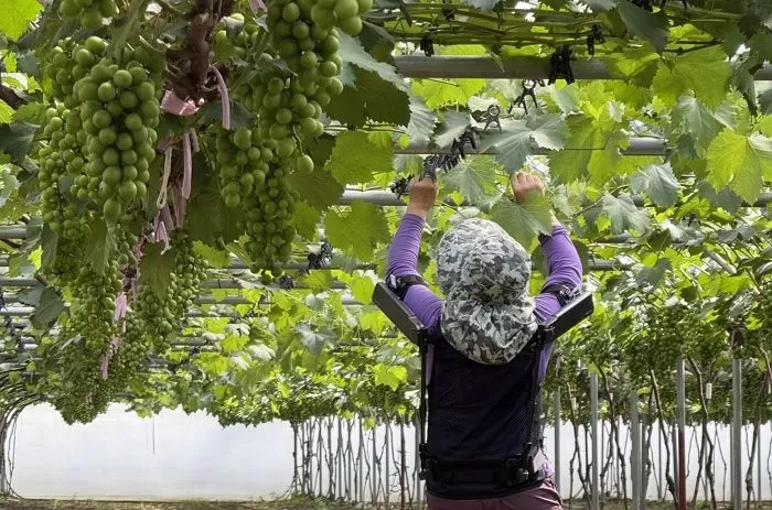 사진 제공 = 현대차