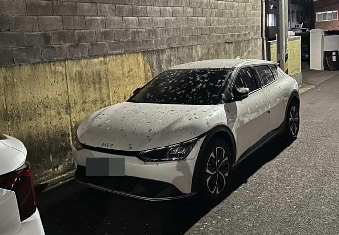 비둘기 먹이 준 할머니 때문에 ‘배설물 범벅’ 된 자동차... 차주들 결국 분노 폭발했다