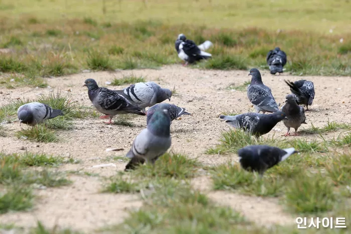 기사의 이해를 돕기 위한 자료 사진 / 사진=인사이트