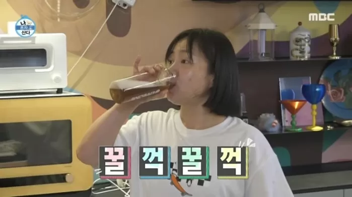 MBC '나 혼자 산다'