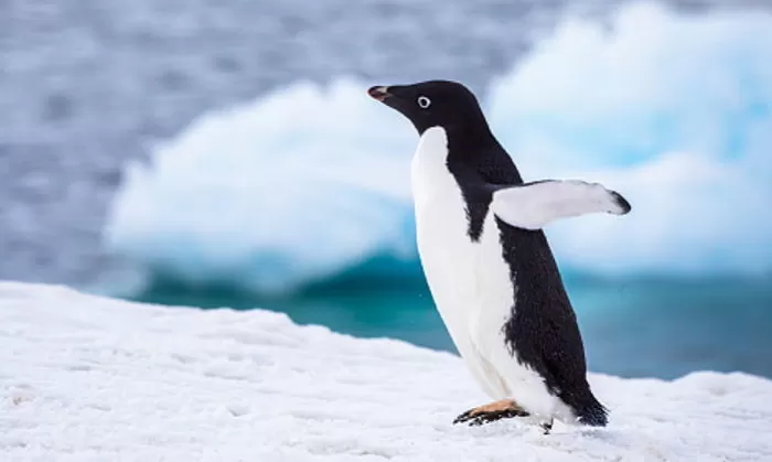 기사의 이해를 돕기 위한 자료 사진 / gettyimagesBank