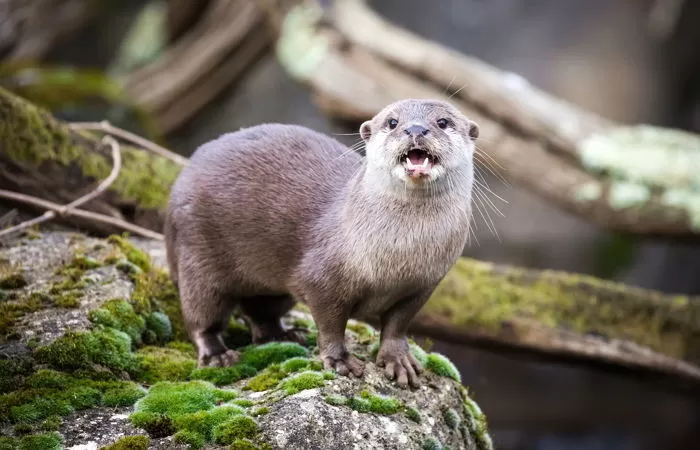 기사의 이해를 돕기 위한 자료 사진 / gettyimagesBank