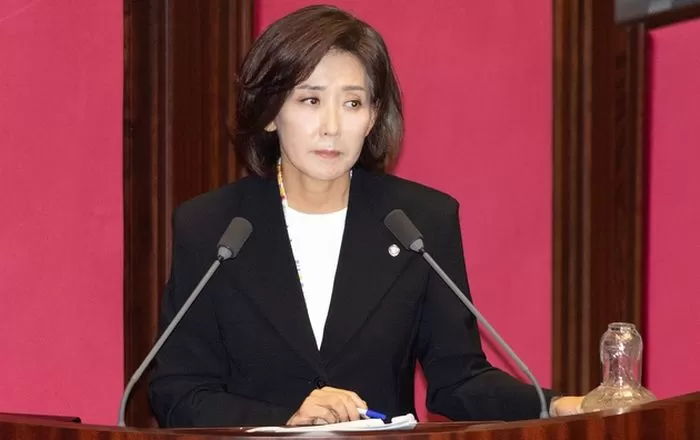 인사이트