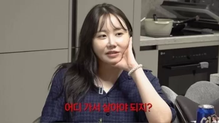 인사이트