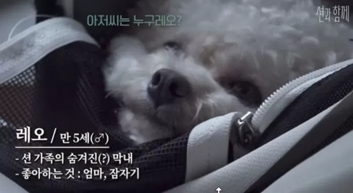 인사이트
