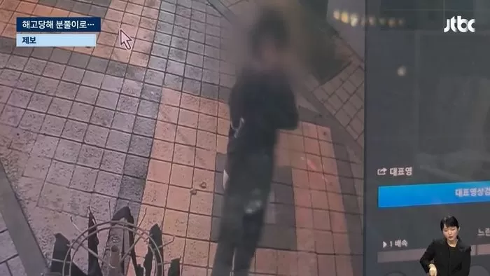인사이트