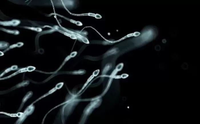 정자 기증받아 출산한 여성의 후기 “아들, 발달 지연... 권하고 싶지 않아”