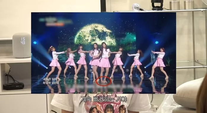 인사이트