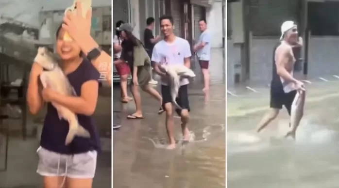 태풍 몰아친 뒤 낚싯대도 없이 손으로 ‘대어’ 잡은 마카오 시민들... 무슨 일이?