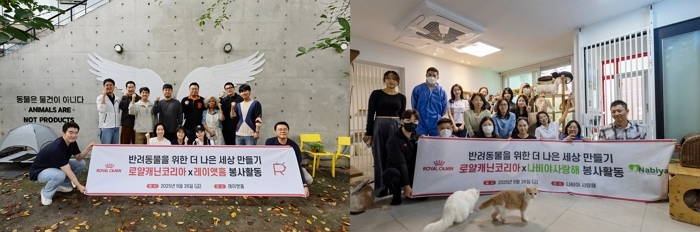 로얄캐닌 임직원 30명, 유기묘 보호소서 ‘구슬땀’... “350마리 유기묘에게 쾌적한 환경 선물”