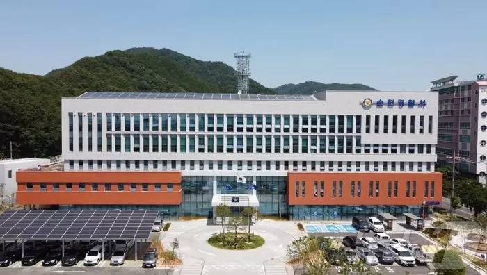 인사이트