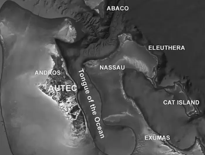 마이클 살라 박사는 지난 19일 UFO 및 정부 기밀 관련 내용을 다루는 팟캐스트 리댁티드(Redacted) 에 출연해 바하마 인근에는 ‘텅 오브 더 오션(Tongue of ...