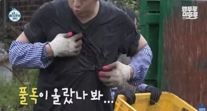 인사이트