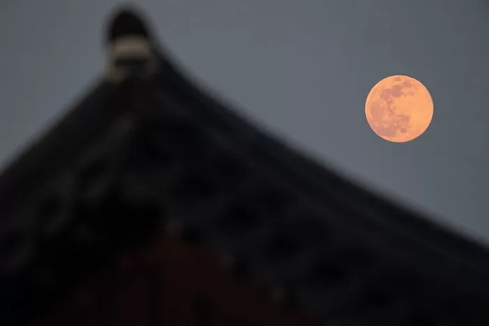 기사의 이해를 돕기 위한 자료 사진 / 뉴스1