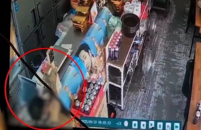 인사이트