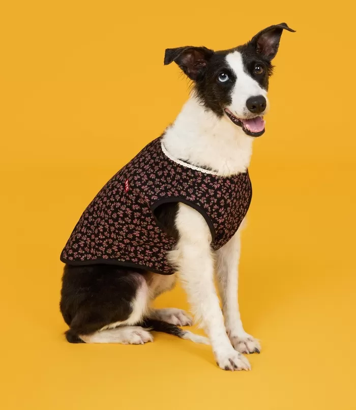 우리집 댕댕이랑 ‘커플 내복’ 맞춰 입자... BYC ‘개리야스’ 겨울 에디션 등장