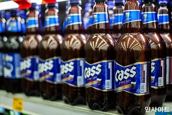 기사의 이해를 돕기 위한 자료 사진 / 사진=인사이트