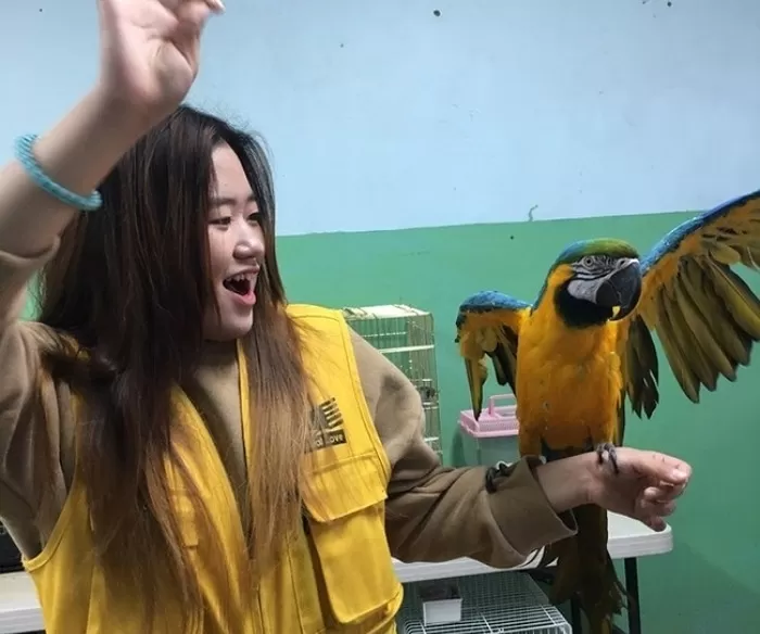 기존 이미지