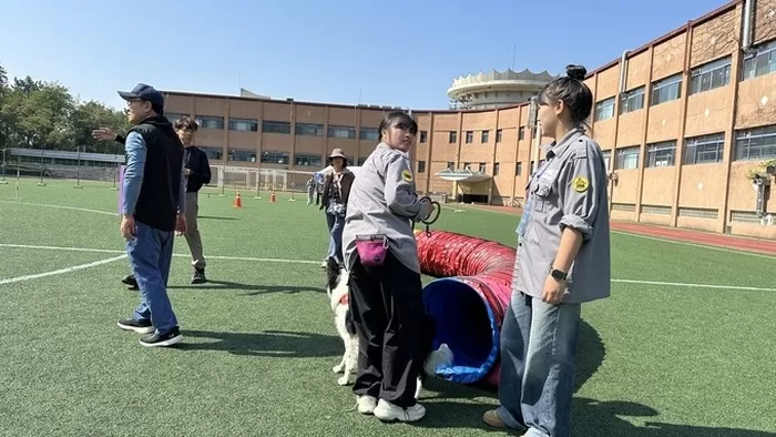 ▲ 대경대가 면접·실기고사를 이색적인 축제형으로 준비해 화제다. 반려견 페스티발을 준비하고 있는 동물사육복지과 전공학생들. 대경대.