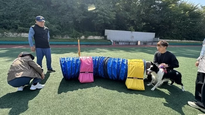 ▲ 대경대가 면접·실기고사를 이색적인 축제형으로 준비해 화제다. 지난해 대경대에서 개최한 반려견 피크닉페스티발을 준비하고 있는 장면. 대경대.