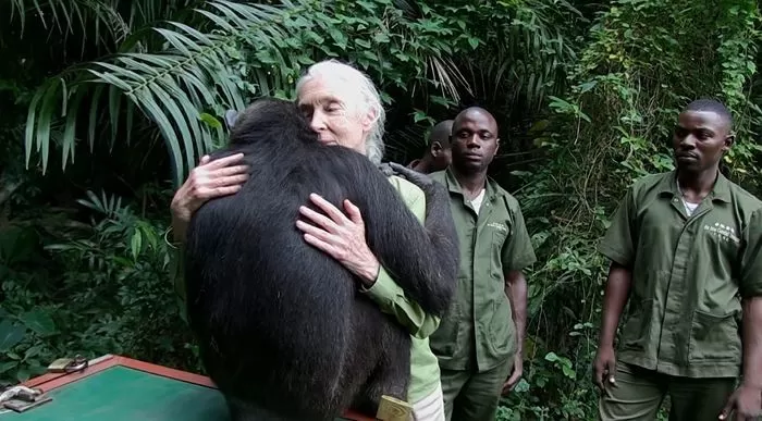 YouTube  'Jane Goodall Institute of Canada'