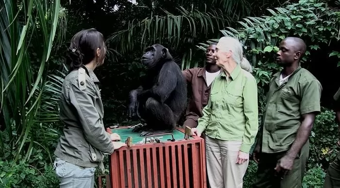 YouTube  'Jane Goodall Institute of Canada'