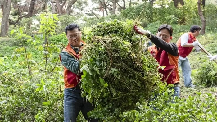 추석 전 남산공원 찾아 ‘환경정화’ 활동한 연매출 7.6조 기업 대표... “대체 누구야?”