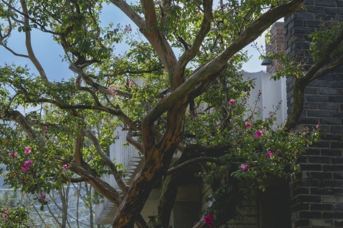 손예진·염혜란, 같은 옷 입은 이유는?... 박찬욱 감독 ‘어쩔 수가 없다’ 속 숨은 연출 TMI