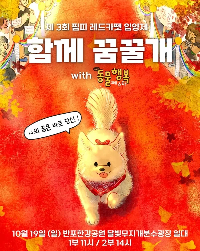 “귀여운 워킹 보러가자”... 한강공원서 펼쳐지는 레드카펫 걷는 유기견들의 특별한 입양제